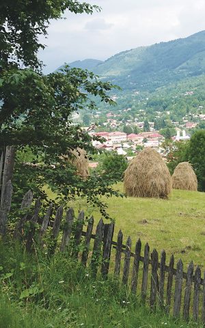 Frumusețea satului românesc: patrimoniu și tradiții în Arhiepiscopia Bucureștilor