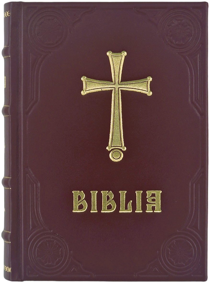 Biblia - piele naturală grena - format 073