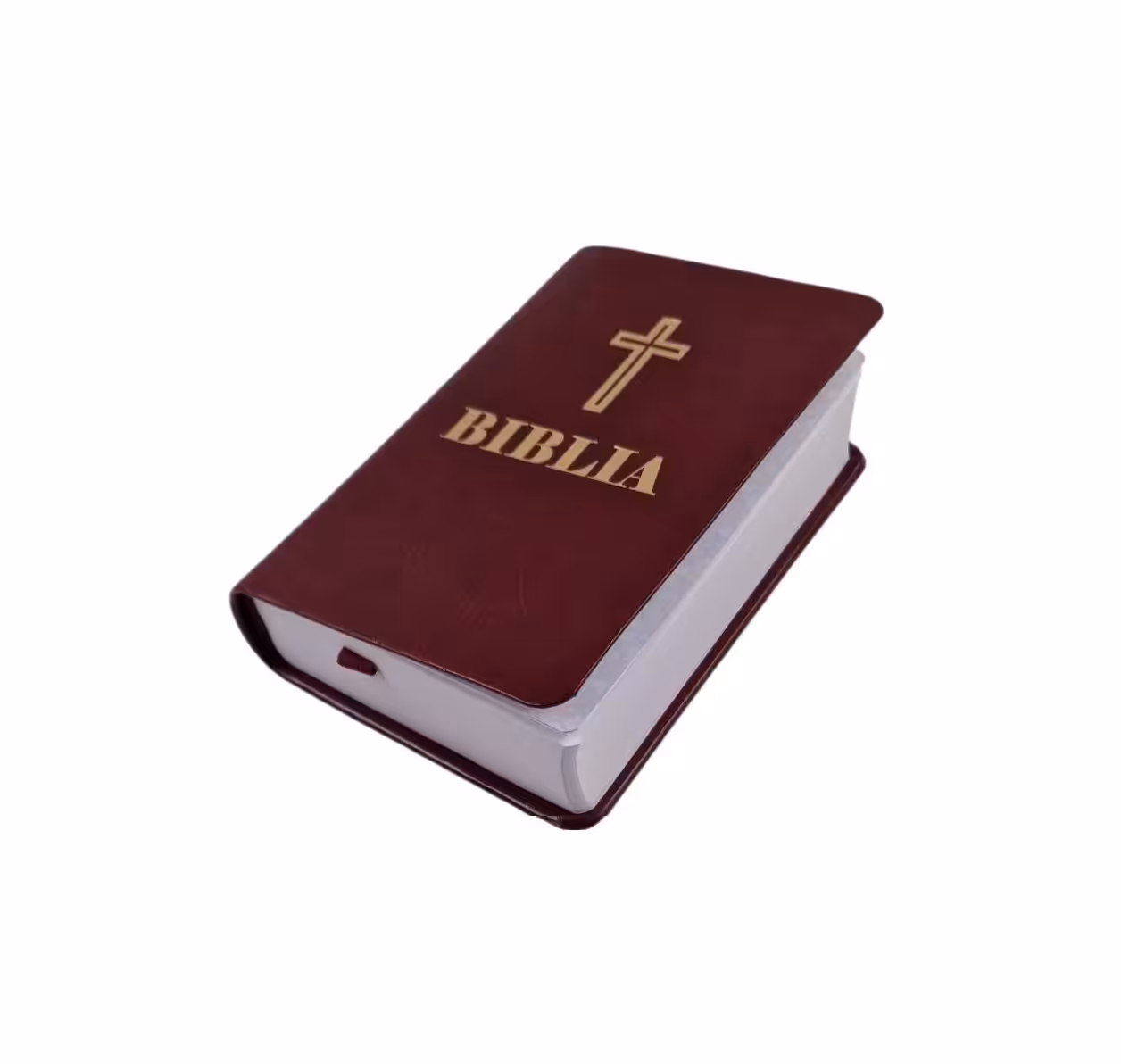 Biblia 98x147 mm